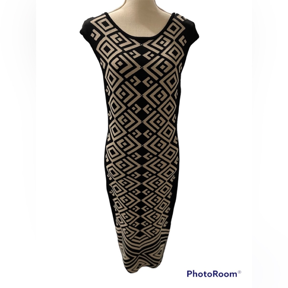 Calvin Klein Black & Tan Stretchy Dress